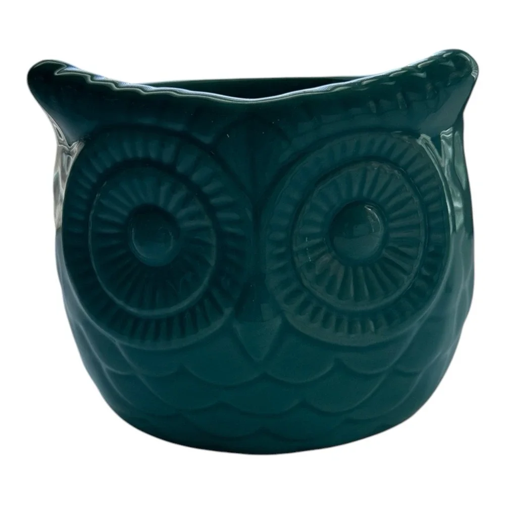 Ceramic  Owl Teal Turquoise Glazed  Cachepot Succulent Flower Pot Home Decor 4